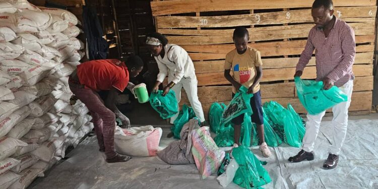 Nord-Kivu : le Réseau RFMPDH et Focus Congo assistent en vivres des déplacés de la guerre du M23