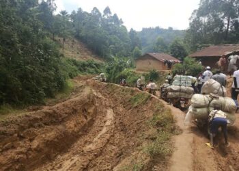 Kalehe : une attaque de bandits armés sur la RN3 dans le PNKB fait des victimes