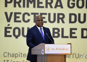 Primera Gold DRC SA : Le président de la République nomme une nouvelle équipe