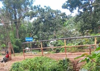 Kalehe : OBAPG RDC appelle à la réhabilitation immédiate du pont Cabwinemwami