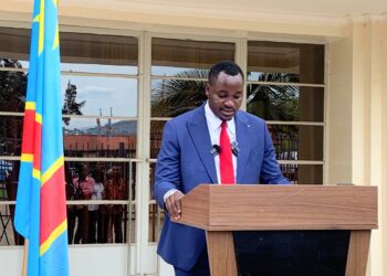 Sud-Kivu : le Gouvernement provincial suspend toute exploitation forestière et/ou minière au PNKB