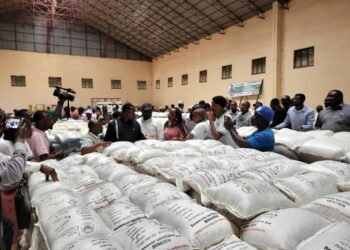 Sud-Kivu : la province reçoit de Kinshasa des semences de plusieurs variétés