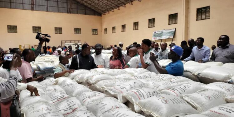 Sud-Kivu : la province reçoit de Kinshasa des semences de plusieurs variétés