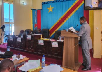 Sud-Kivu : spoliation des parcelles et maisons de l’Etat, la commission spéciale instituée par l’assemblée provinciale eventre le boa