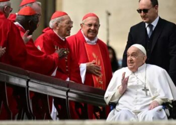 Mort du pape François : qui sont les cardinaux pressentis pour lui succéder ?