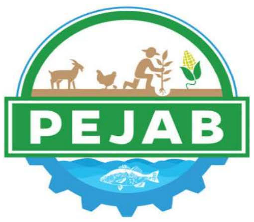 Consultant individuel pour la réalisation de l&rsquo;Audit de conformité environnementale et sociale du PEJAB