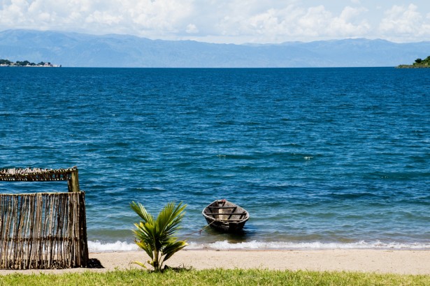 Tanganyika : Un adolescent happé par un crocodile au lac Tanganyika à Kalemie