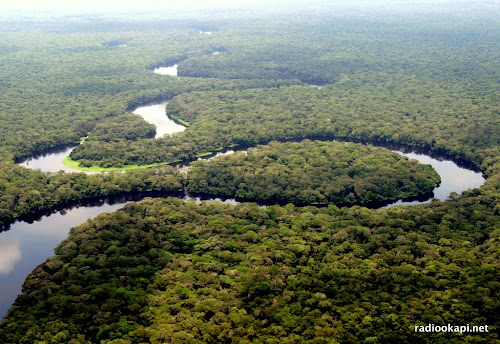 Nord-Kivu : le gouvernement provincial cède provisoirement 550 hectares du Parc National de Virunga à la population de Beni
