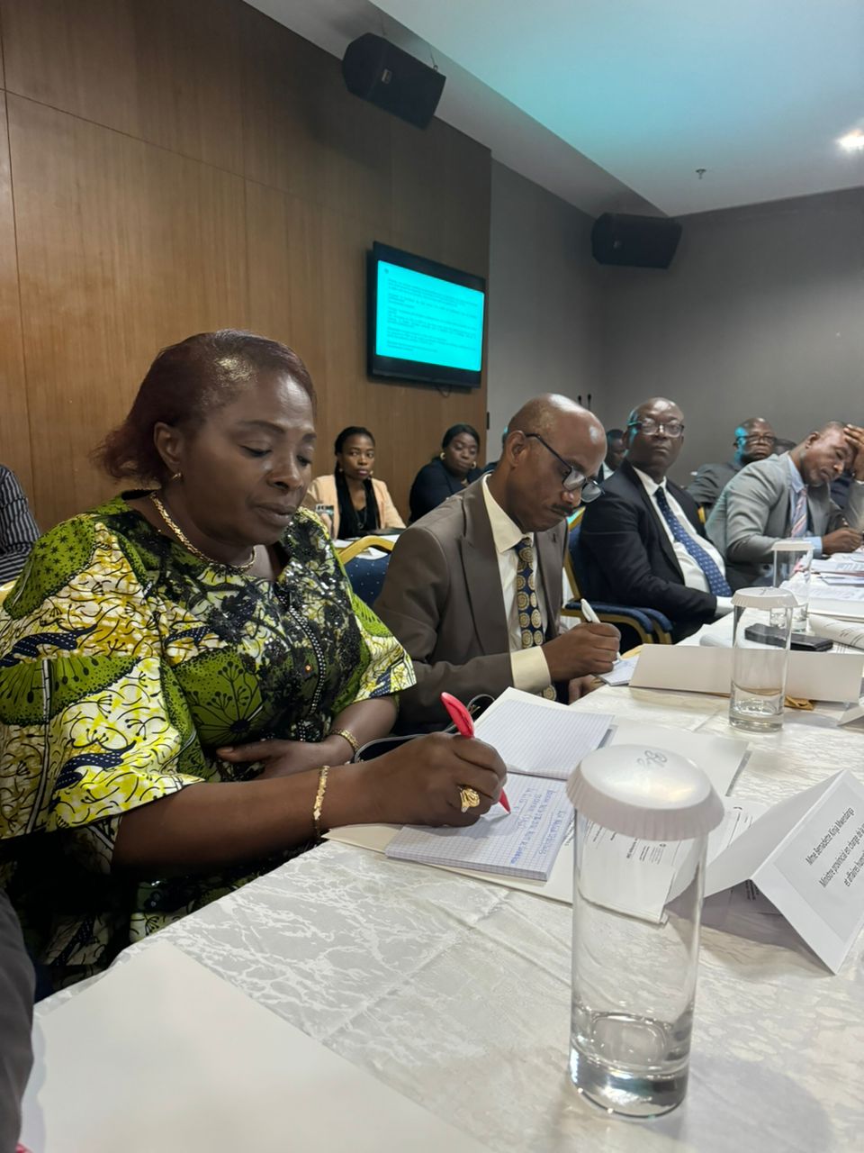 Kinshasa : la députée Kinja Mwendanga prend part à la réunion du SMCT pour le renforcement des projets financés par la Suisse en RDC