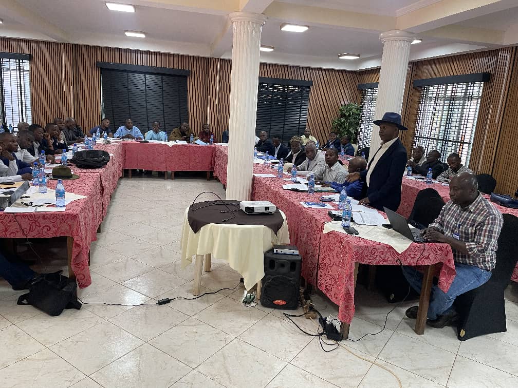 Bukavu : Strong Roots réunit des acteurs pour promouvoir la foresterie communautaire au Sud-Kivu