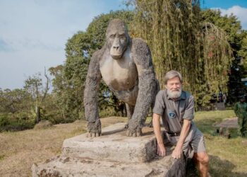 Journée mondiale des gorilles : Pour Ian Redmond, les gorilles sont des jardiniers des forêts du PNKB