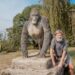Journée mondiale des gorilles : Pour Ian Redmond, les gorilles sont des jardiniers des forêts du PNKB