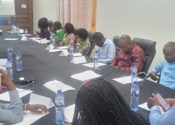 Bukavu : la Fondation hirondelle, des journalistes et des acteurs sociopolitiques discutent sur la lutte contre la désinformation